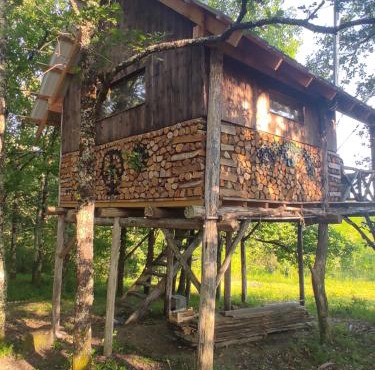 Cabane perchée