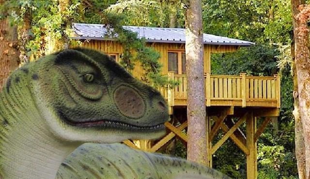 Cabane Perchée Jurassic, Unique en France, Atypique, Insolite!