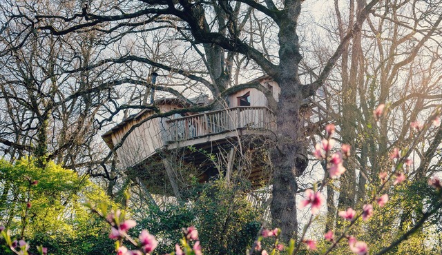 Cabane perchée/sauna & cold bath/shared natural swimming pool
