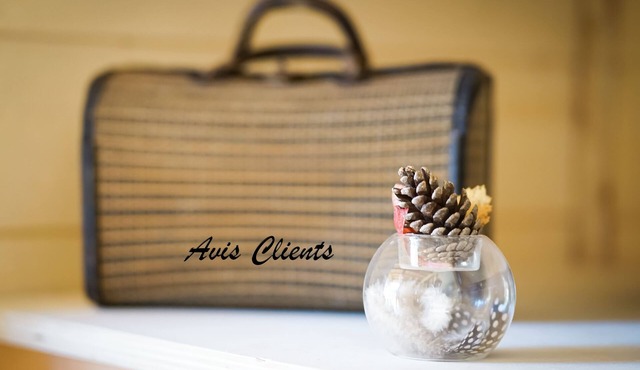 Cabane Perchée au Concept Unique sur Rails