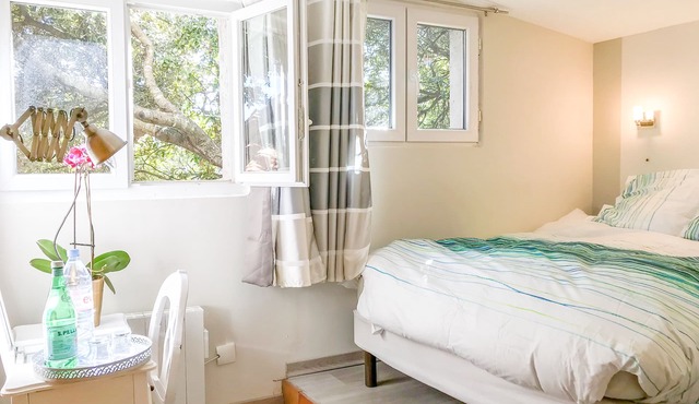 Cabanon Au Coeur Du Bois