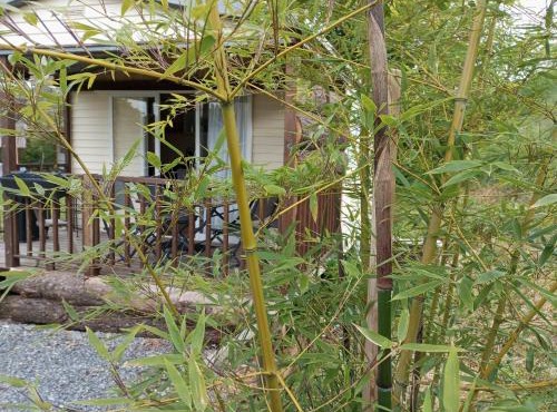 Cabanon Grenouille - Le Pal