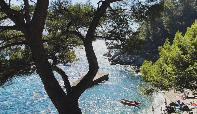 Cabanon Moderne, les Pieds Dans L'eau