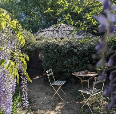 Cabayourte à la mauvaise herbe