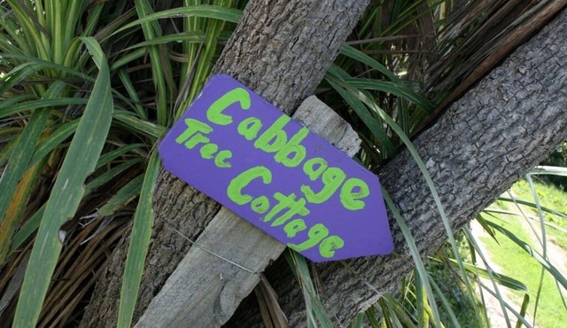 Cabbage Tree Cottage - Beautiful home, stunning location. Pet-friendly.
