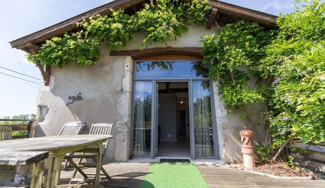 Cabernet - Benesse-les-dax