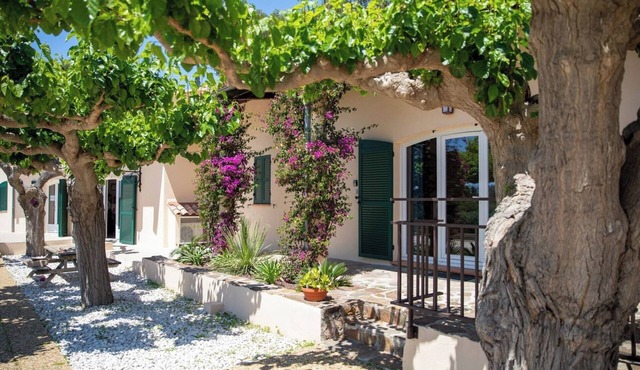 Cabernet - Domaine de la Navicelle