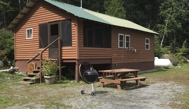 Cabin 4 Lakeview Shared Sauna-Hot Tub Patio, Lake Tours, Boat Rental