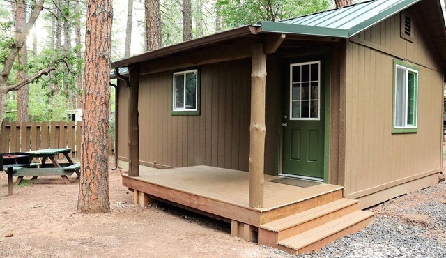 Cabin #1 - 1 Bedroom Modern With Fireplace