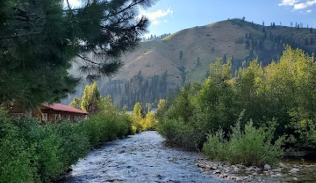 Cabin 1 at Southfork Lodge- sleeps up to 2