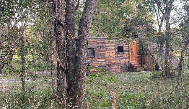 Cabin 1 Cozy cabin close to Sam Houston Park