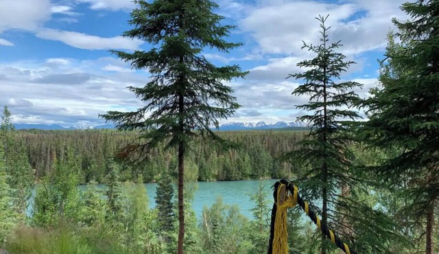 Cabin 1 on the Kenai River!