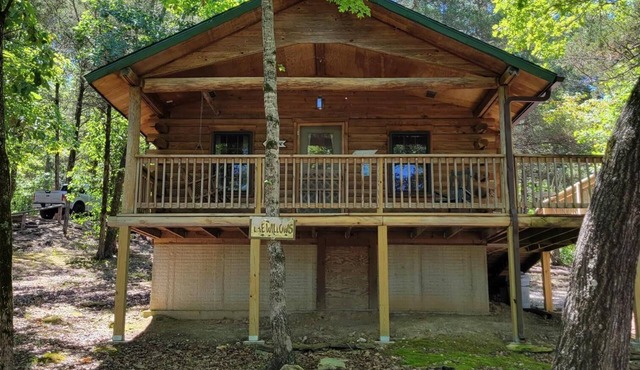 Cabin #10-Cozy log cabin nestled in the woods brief walk to Table Rock Lake