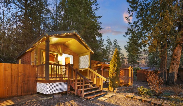 Cabin #10