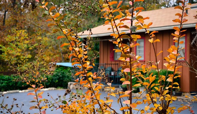 Cabin 2-bdrms with Pool and Boat Dock Access on Norfork Lake, Arkansas