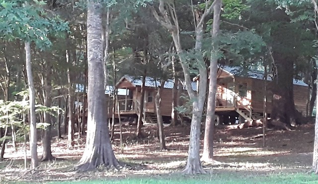 Cabin 2 Bowman's Landing on Santa Fe River