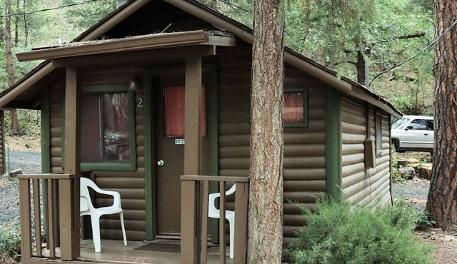 Cabin #2 - Studio with fireplace