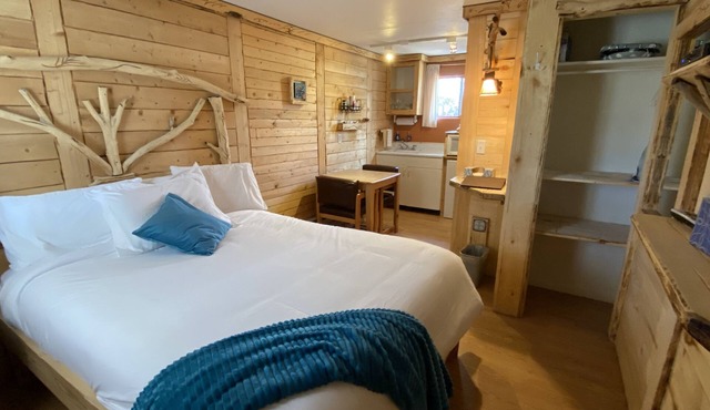 Cabin 3 at The Cedaredge Lodge/Dog Friendly