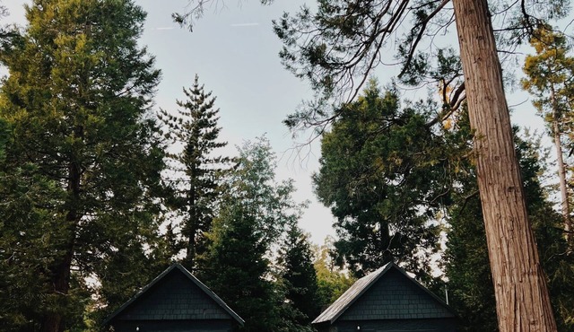 Cabin #3 - The Perch at Twin Peaks