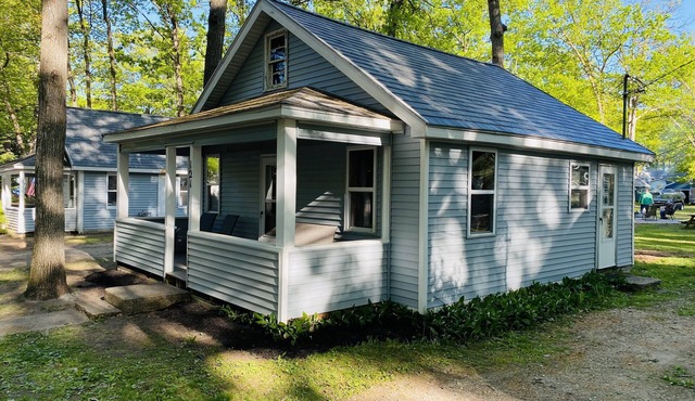 CABIN #3 WITH LAKE VIEW AT HIGGINS LAKE - TRUE NORTH CABIN RENTALS