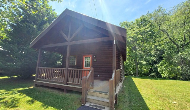 Cabin 303 - Alone at Last