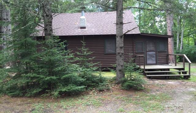 CABIN #4 (Bear) Beautiful knotty pine cabin tucked back by the woods!