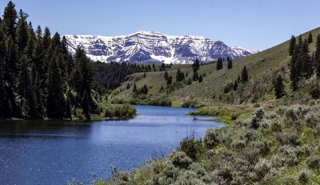 Cabin #4: Remote, cozy cabin located on Elk Lake-1 hour from Yellowstone.