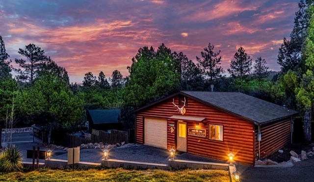 Cabin #6 Bobcat Bunkhouse - Pet Friendly - King Bed - Sleeps 4