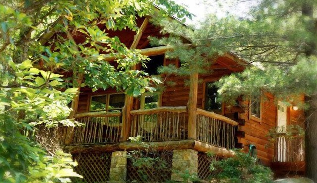 Cabin #6 - Laurel Haven | 0 Bed, 1 Bath