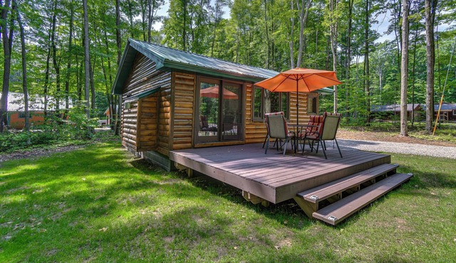 Cabin 600' to Manistee Lake Private Shared Access