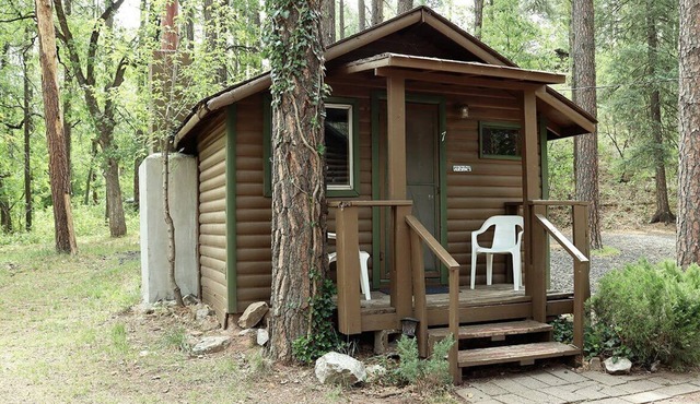 Cabin #7 - Rustic Studio with fireplace