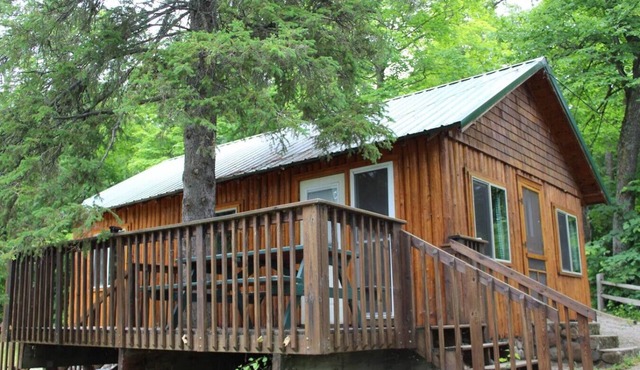 Cabin 8 - A newly remodeled with shaded deck on the lakeshore