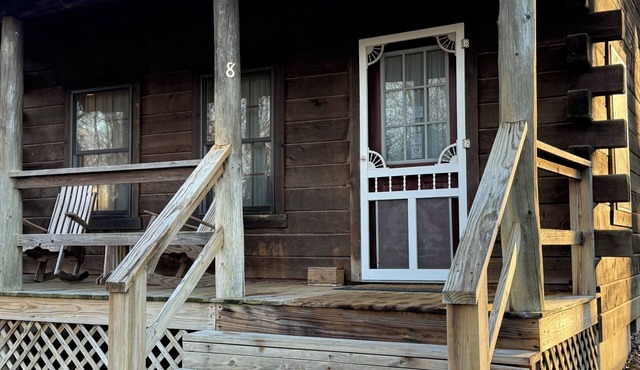 Cabin 8 Celebration