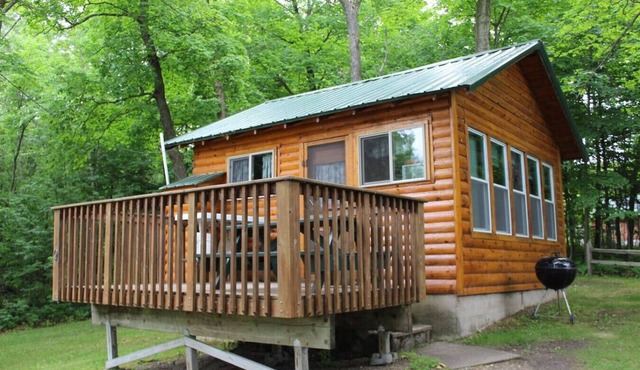 Cabin 9 - Cozy private studio cabin on the lakeshore