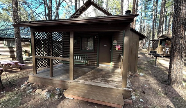 Cabin #9 - Studio with fireplace