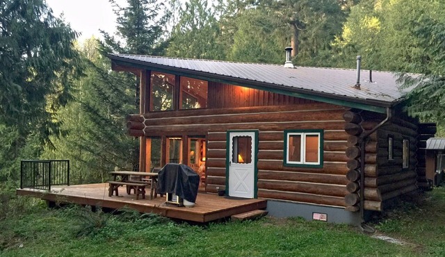 Cabin #97 - 'pinecone' Log Cabin at the Lake that is Pet-friendly!