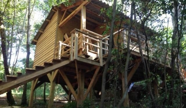 cabin among the trees