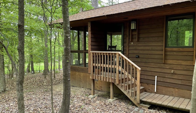 Cabin amongst the trees