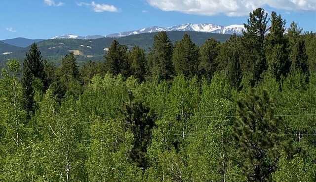 Cabin at Pickle Gulch- a charming cabin with mountain views.
