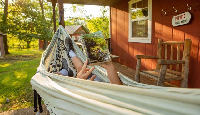 Cabin, camping, and one mile of Niangua river to explore at this secluded cabin.