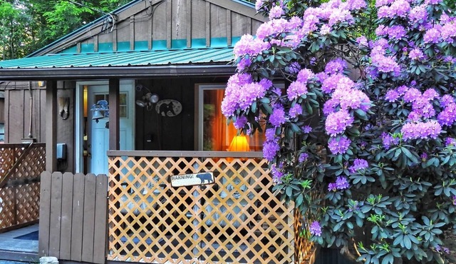 Cabin close to Ricketts Glen and State Parks!