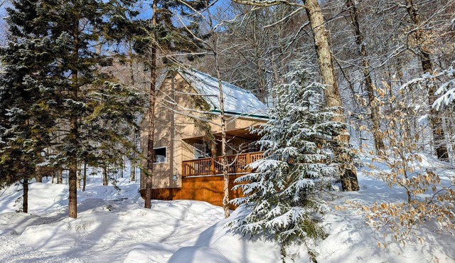 Cabin close to town, snowmobile access, parking & hot tub