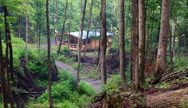 Cabin Creek Getaway by Letchworth State Park - Waterfalls & Woods!