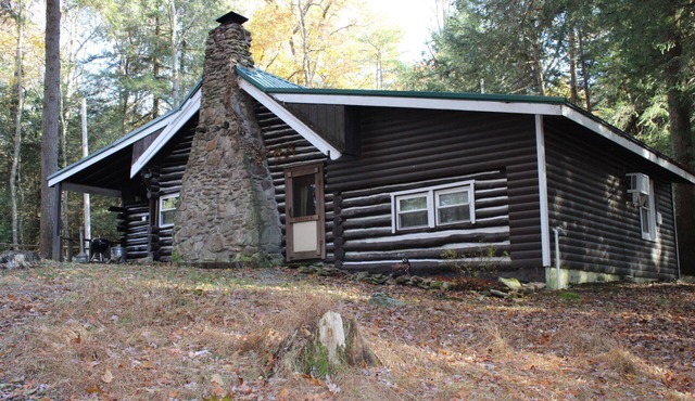 Cabin fit for a Family