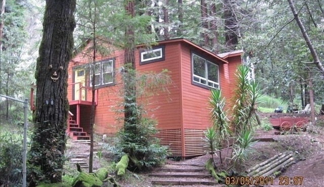 Cabin Getaway, Surrounded by Forest, Relaxing, Occidental Ca