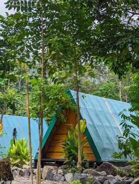 Cabin Glamping