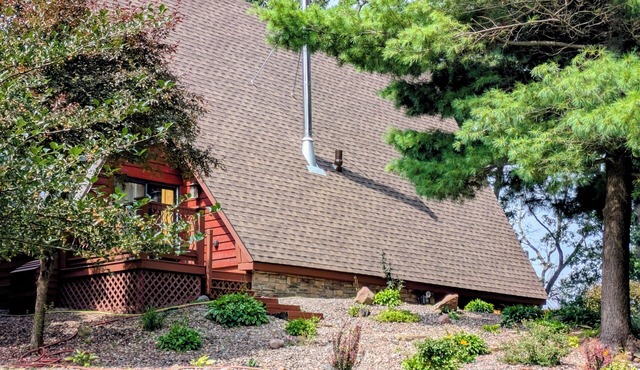 Cabin Home in the City!