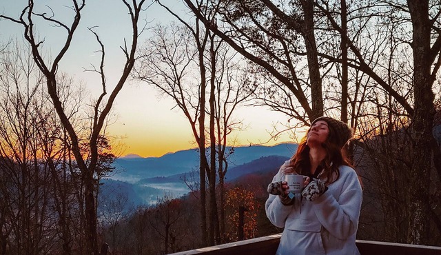 Cabin|Hot tub|Sauna|Game+Movie Rm|View|Near AVL