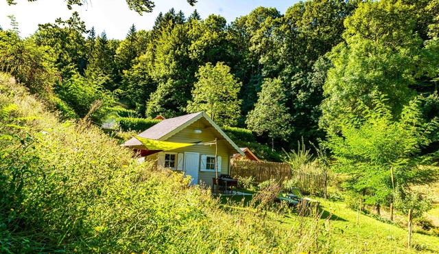 Cabin in the woods, breathtaking view of the Monts de Lacaune