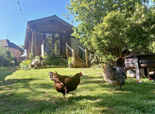 CABIN in hosts huge garden CHILD FRIENDLY with Hens Kittens firepit Marshmallows